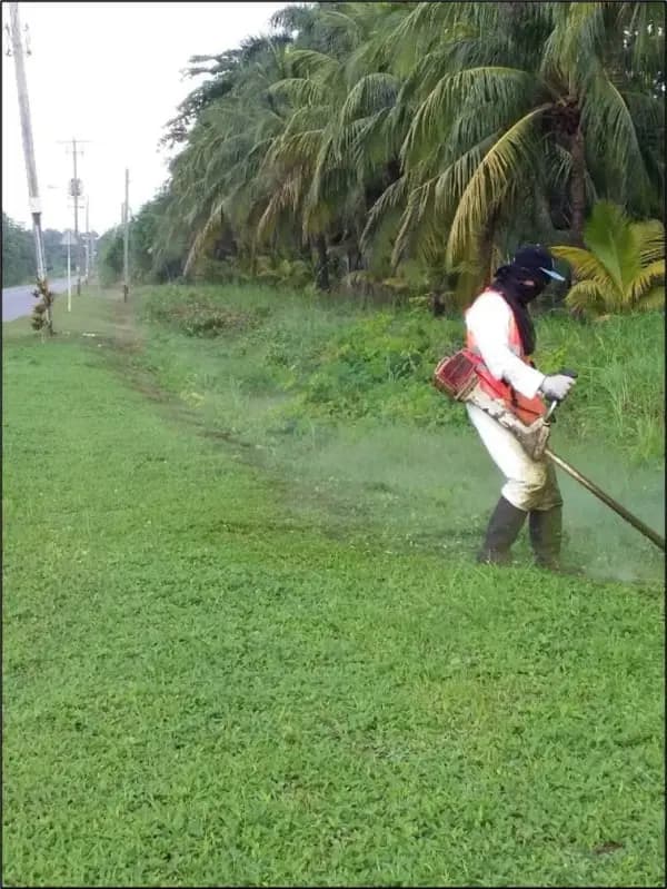 Operator spraying vegetation along a road verge